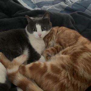 Meet your Posher, Melissa